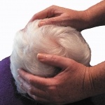 Reiki Treatment